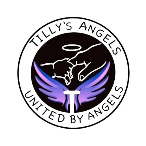 Tilly's Angels Logo